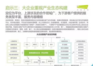 2019年中國(guó)教育信息化行業(yè)報(bào)告 信息技術(shù)咨詢(xún)服務(wù)的戰(zhàn)略角色與發(fā)展路徑
