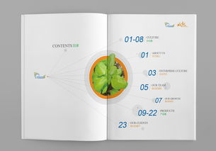 生物公司企業(yè)形象畫冊設計 展現科技與創(chuàng)新的力量